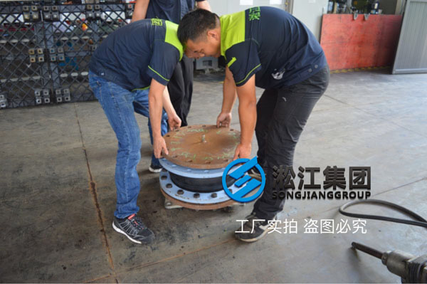 生活污水回用泵、工業廢水污泥泵、反沖洗水泵、羅茨風機橡膠接頭