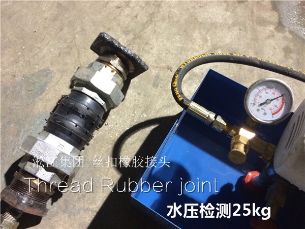 上海淞江,DN25、DN32絲扣雙球橡膠軟連接多少錢